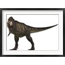 Arthur Dorety/Stocktrek Images - Tyranosaurus Rex (R788279-AEAEAGOFDM)