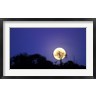 Paul Souders / Danita Delimont - Full Moon Rises Above Acacia Tree, Amboseli National Park, Kenya (R788591-AEAEAGOFDM)