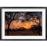 Adam Jones / Danita Delimont - Acacia forest, sunset, Tarangire National Park, Tanzania (R788952-AEAEAGOFDM)