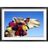 Claudia Adams / Danita Delimont - Colorfully Decorated Tourist Camel, Egypt (R789295-AEAEAGOFDM)