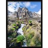 Martin Zwick / Danita Delimont - Central Mount Kenya National Park, Kenya (R789672-AEAAAAHAGE)