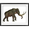 Corey Ford/Stocktrek Images - The Columbian mammoth, an extinct species of elephant (R790083-AEAEAGOFDM)