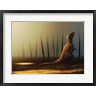 Christian Masnaghetti/Stocktrek Images - Tyrannosaurus rex sunbathing after the rain (R790186-AEAEAGOFDM)