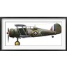 Inkworm/Stocktrek Images - A Gloster Gladiator Mk II (R790294-AEAEAGOFDM)