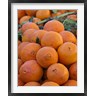 William Sutton / Danita Delimont - Oranges for sale in Fes market Morocco (R791220-AEAEAGOFDM)