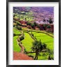 Charles Crust / Danita Delimont - Rice Terraces, Jiayin Village, Honghe, Yunnan, China (R791357-AEAEAGOFDM)