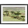 Nico Tondini / Danita Delimont - The Bush, Maasai Mara National Reserve, Kenya (R791669-AEAEAGOFDM)