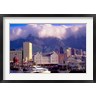 Walter Bibikow / Danita Delimont - Victoria and Alfred Waterfront, Cape Town, South Africa (R791855-AEAEAGOFDM)