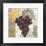 Albena Hristova - Acanthus and Paisley With Grapes  I (R792219-AEAEAGOEDM)
