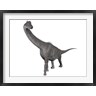 Elena Duvernay/Stocktrek Images - Brachiosaurus dinosaur, white background (R792597-AEAEAGOFDM)