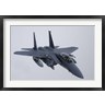 Daniel Karlsson/Stocktrek Images - F-15E Strike Eagle of the US Air Force (R792607-AEAEAGOFDM)