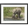 Jagdeep Rajput / Danita Delimont - Elephant on riverbank, Corbett NP, Uttaranchal, India (R793805-AEAEAGOFDM)