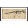 Ethan Harper - Tyrannosaurus Rex Study (R797111-AEAEAGOFLM)