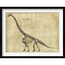 Ethan Harper - Brachiosaurus Study (R797113-AEAEAGPFOE)