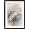 F.W. Frohawk - Oversize White Heron (R797284-AEAEAGOFLM)