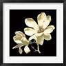 Chabal Dussurgey - Midnight Magnolias I (R797364-AEAEAGOFLM)