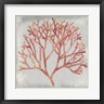 Megan Meagher - Watercolor Coral IV (R797688-AEAEAGOFLM)