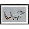 Giovanni Colla/Stocktrek Images - F-15D Eagle Baz Aircraft of the Israeli Air Force (R798263-AEAEAGOFDM)