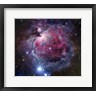 Robert Gendler/Stocktrek Images - The Orion Nebula (R798358-AEAEAGOFDM)