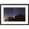 John Davis/Stocktrek Images - Milky Way Above LiveOoak and Mesquite Trees (R799124-AEAEAGOFDM)