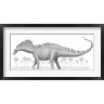 Heraldo Mussolini/Stocktrek Images - Amargasaurus Cazaui Dinosaur from the Early Cretaceous Period (R799142-AEAEAGOFDM)