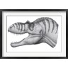 Heraldo Mussolini/Stocktrek Images - Headshot of an Albertosaurus Sarcophagus (R799224-AEAEAGOFDM)