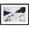 Alida Latham / Danita Delimont - New Zealand, South Island, Franz Josef Glacier (R799453-AEAEAGOFDM)