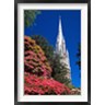 David Wall / Danita Delimont - Rhododendrons and First Church, Dunedin, New Zealand (R799875-AEAEAGOFDM)