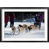 Jerry & Marcy Monkman / Danita Delimont - Sled Dog Team, New Hampshire, USA (R801709-AEAEAGOFDM)