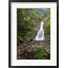 John & Lisa Merrill / Danita Delimont - Puerto Rico, El Yunque, La Mina Waterfalls (R802084-AEAEAGOFDM)