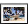 Alison Jones / Danita Delimont - Hammock tied between trees, North Shore beach, St Croix, US Virgin Islands (R802127-AEAEAGOFDM)
