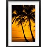 Bill Bachmann / Danita Delimont - Sunset and Palms, San Juan, Puerto Rico (R802158-AEAEAGOFDM)