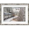 Cindy Miller Hopkins / Danita Delimont - Via Rail Snow Train Between Edmonton & Jasper, Alberta, Canada (R802569-AEAEAGKFGE)