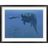 Walter Myers/Stocktrek Images - A prehistoric Dunkleosteus fish prepares to eat a primitive shark (R802796-AEAEAGOFDM)