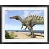 Walter Myers/Stocktrek Images - A carnivorous Suchomimus wanders a beach on the ancient Tethys Ocean (R802873-AEAEAGOFDM)