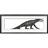 Vitor Silva/Stocktrek images - Teraterpeton, an Archosauromorph from the Late Triassic (R803256-AEAEAGOFDM)