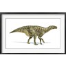 Leonello Calvetti/Stocktrek Images - Iguanodon Dinosaur on White Background (R803526-AEAEAGOFDM)