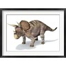 Leonello Calvetti/Stocktrek Images - 3D Rendering of a Triceratops Dinosaur (R803575-AEAEAGOFDM)