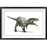 Leonello Calvetti/Stocktrek Images - 3D Rendering of a Giganotosaurus Dinosaur (R803594-AEAEAGOFDM)