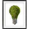 Leonello Calvetti/Stocktrek Images - Light Bulb with Tree Inside glass, Isolated on White Background (R803669-AEAEAGOFDM)