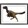 Vitor Silva/Stocktrek images - Citipati, an Oviraptorid from the Cretaceous Period (R803676-AEAEAGOFDM)