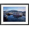 Gerry Reynolds / Danita Delimont - Fishing Boats, Prince Rupert, British Columbia, Canada (R803747-AEAEAGOFDM)