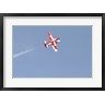 Terry Moore/Stocktrek Images - The Snowbirds 431 Air doing a Demonstration (R803925-AEAEAGOFDM)