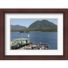 Matt Freedman / Danita Delimont - Harbor, Meares Island, Vancouver Island, British Columbia (R804129-AEAEAGLFGM)