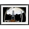 Stocktrek Images - The Hubble Space Telescope, Locked Down in the Cargo Bay of Space Shuttle Atlantis (R807733-AEAEAGOFDM)