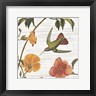 Wild Apple Portfolio - Vintage Hummingbird I (R808727-AEAEAGOEDM)