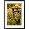 Trish Drury / Danita Delimont - British Columbia, Butchart Gardens Japanese gardens (R809886-AEAEAGOFDM)