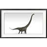 Kostyantyn Ivanyshen/Stocktrek Images - Mamenchisaurus Dinosaur (R823593-AEAEAGOFDM)