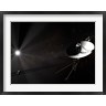 Rhys Taylor/Stocktrek Images - Voyager 1 (R824467-AEAEAGOFDM)