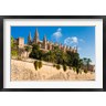 Nico Tondini / Danita Delimont - Cathedral of Santa Maria of Palma, Majorca, Balearic Islands, Spain (R824999-AEAEAGOFDM)